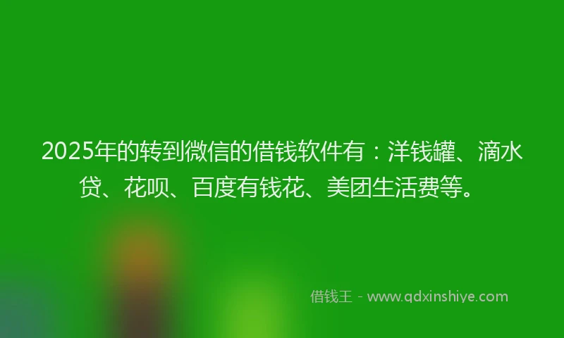 2025年的转到微信的借钱软件有：洋钱罐、滴水贷、花呗、百度有钱花、美团生活费等。