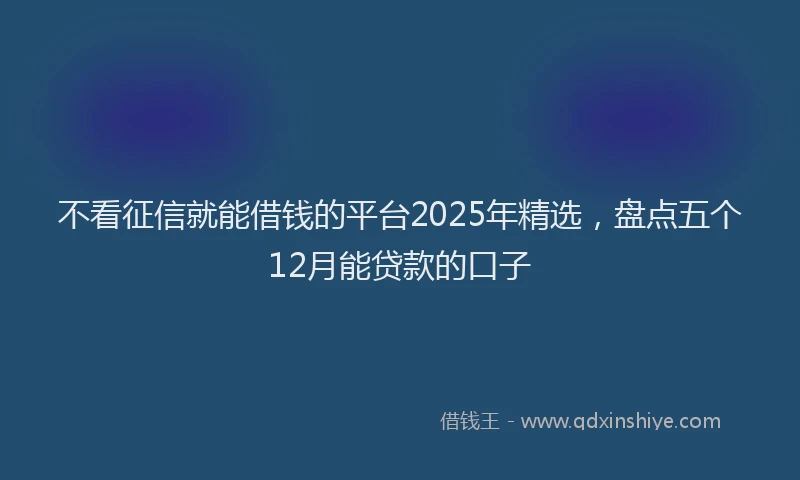 不看征信就能借钱的平台2025年精选，盘点五个12月能贷款的口子