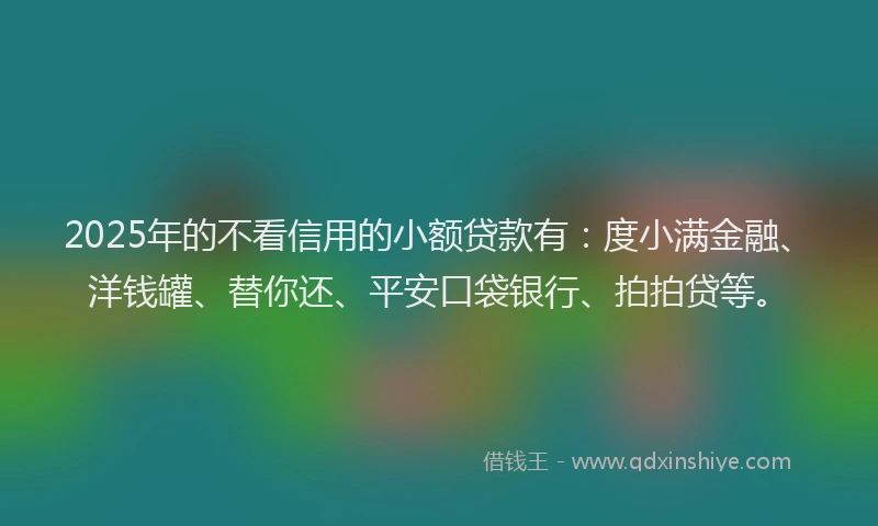 2025年的不看信用的小额贷款有：度小满金融、洋钱罐、替你还、平安口袋银行、拍拍贷等。