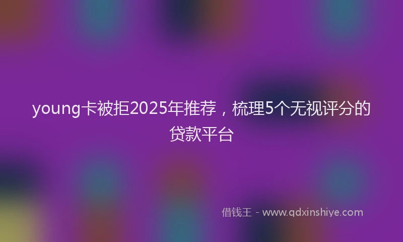 young卡被拒2025年推荐，梳理5个无视评分的贷款平台