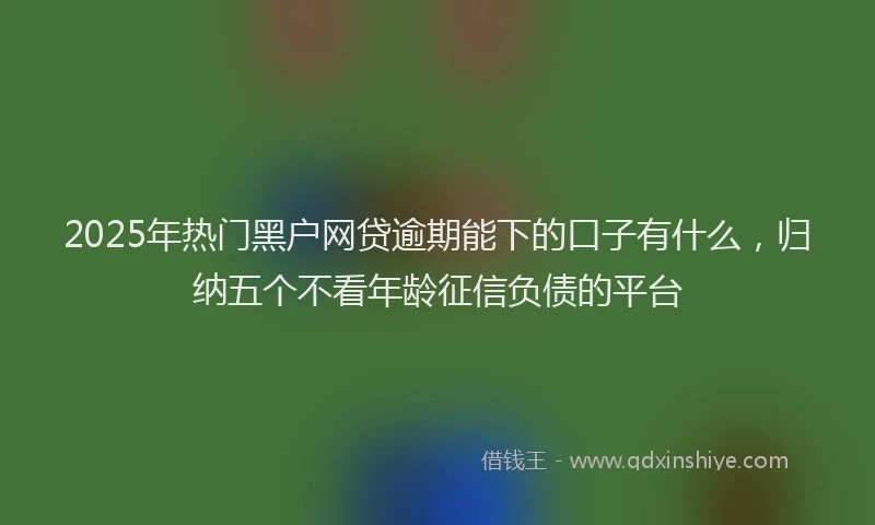 2025年热门黑户网贷逾期能下的口子有什么，归纳五个不看年龄征信负债的平台