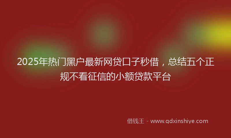 2025年热门黑户最新网贷口子秒借，总结五个正规不看征信的小额贷款平台