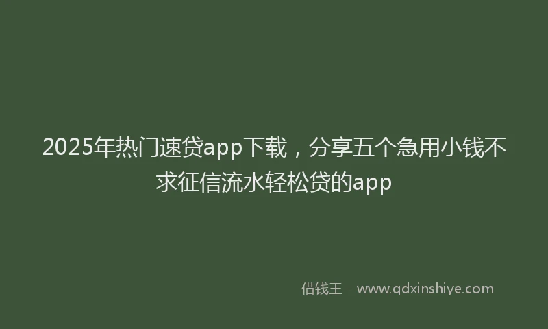 2025年热门速贷app下载，分享五个急用小钱不求征信流水轻松贷的app