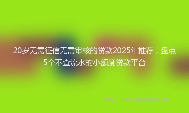 20岁无需征信无需审核的贷款2025年推荐，盘点5个不查流水的小额度贷款平台