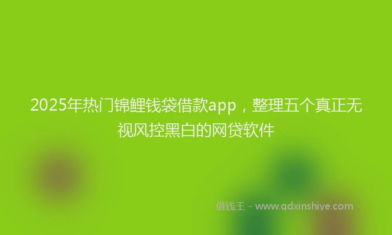 2025年热门锦鲤钱袋借款app，整理五个真正无视风控黑白的网贷软件