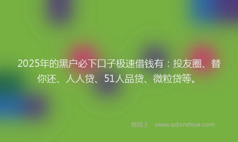 2025年的黑户必下口子极速借钱有：投友圈、替你还、人人贷、51人品贷、微粒贷等。