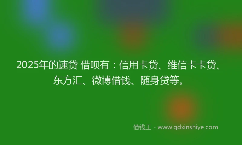 2025年的速贷 借呗有：信用卡贷、维信卡卡贷、东方汇、微博借钱、随身贷等。