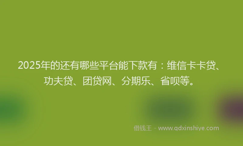 2025年的还有哪些平台能下款有：维信卡卡贷、功夫贷、团贷网、分期乐、省呗等。