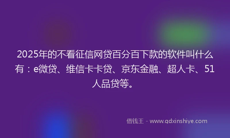 2025年的不看征信网贷百分百下款的软件叫什么有：e微贷、维信卡卡贷、京东金融、超人卡、51人品贷等。