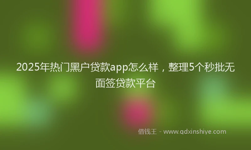2025年热门黑户贷款app怎么样，整理5个秒批无面签贷款平台