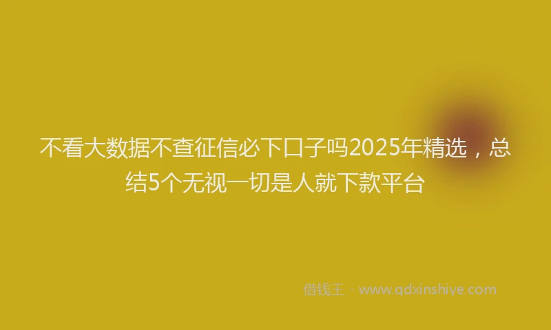不看大数据不查征信必下口子吗2025年精选，总结5个无视一切是人就下款平台