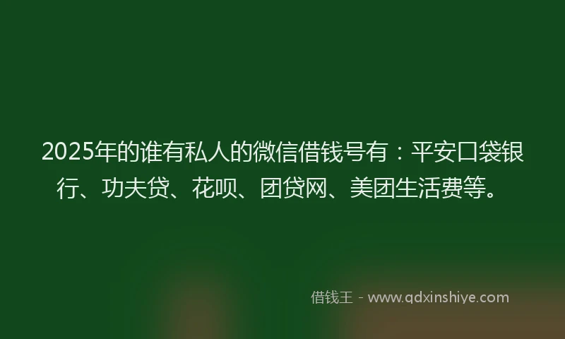 2025年的谁有私人的微信借钱号有：平安口袋银行、功夫贷、花呗、团贷网、美团生活费等。