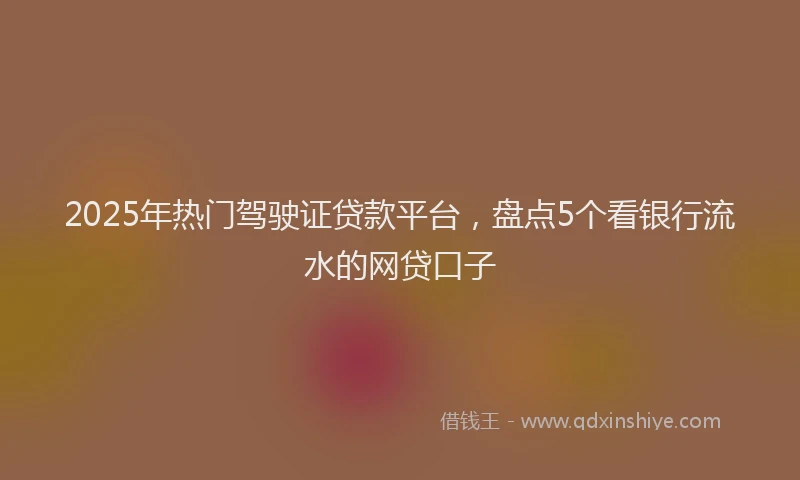 2025年热门驾驶证贷款平台，盘点5个看银行流水的网贷口子