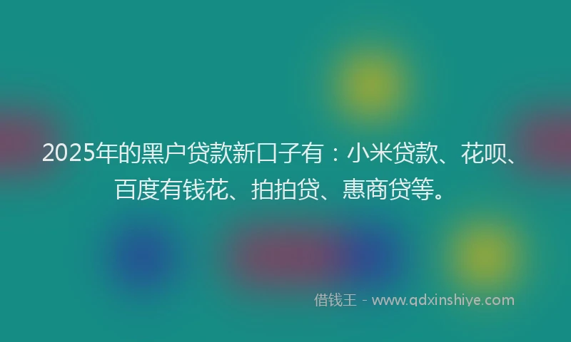 2025年的黑户贷款新口子有：小米贷款、花呗、百度有钱花、拍拍贷、惠商贷等。
