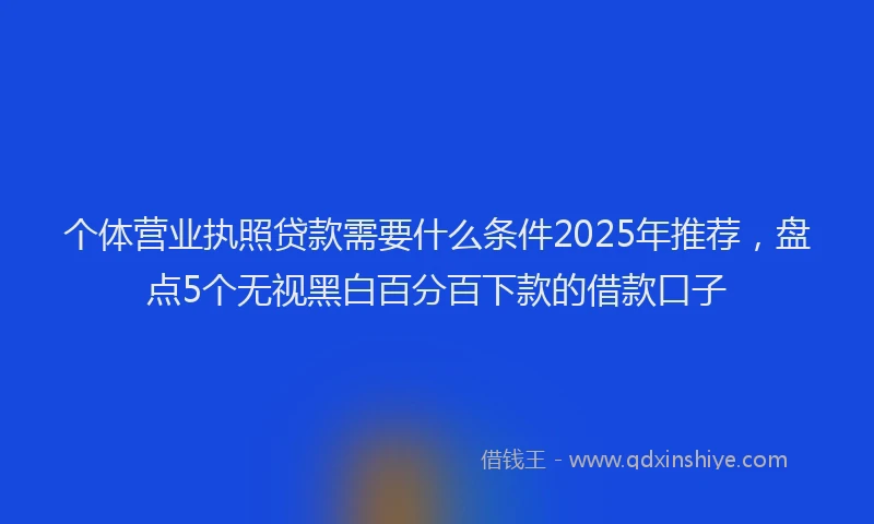 个体营业执照贷款需要什么条件2025年推荐，盘点5个无视黑白百分百下款的借款口子