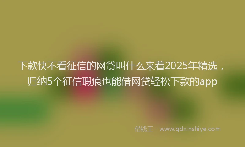 下款快不看征信的网贷叫什么来着2025年精选，归纳5个征信瑕疵也能借网贷轻松下款的app