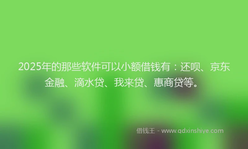 2025年的那些软件可以小额借钱有：还呗、京东金融、滴水贷、我来贷、惠商贷等。