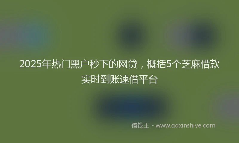 2025年热门黑户秒下的网贷，概括5个芝麻借款实时到账速借平台