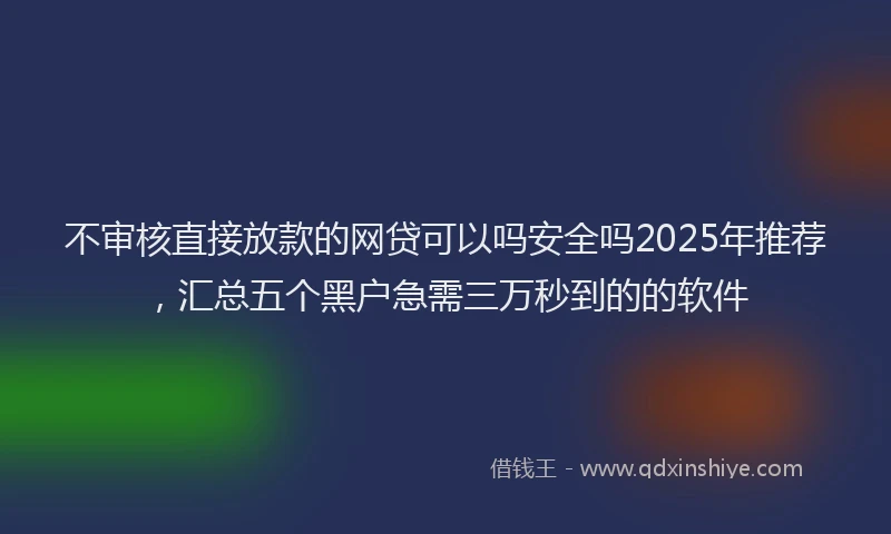 不审核直接放款的网贷可以吗安全吗2025年推荐，汇总五个黑户急需三万秒到的的软件