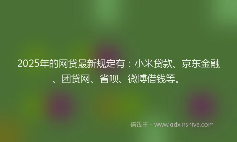2025年的网贷最新规定有：小米贷款、京东金融、团贷网、省呗、微博借钱等。
