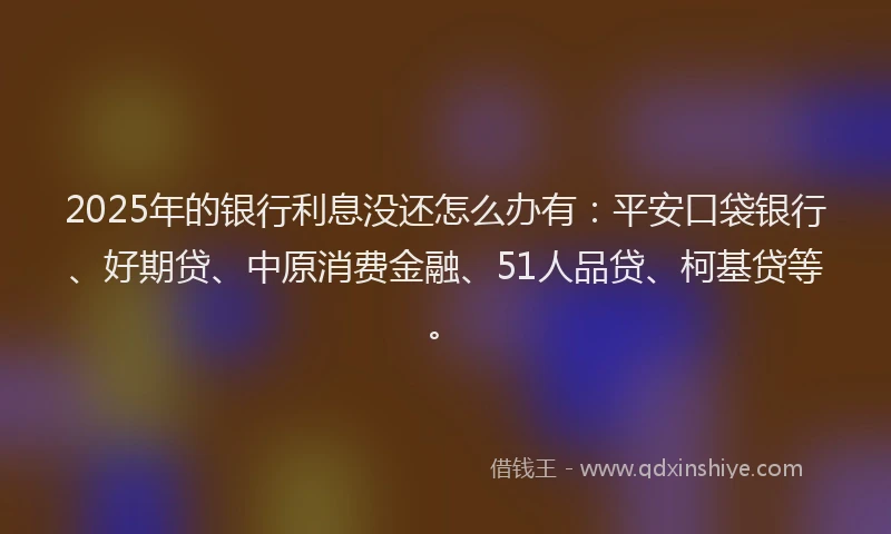 2025年的银行利息没还怎么办有：平安口袋银行、好期贷、中原消费金融、51人品贷、柯基贷等。