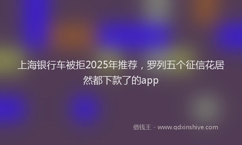 上海银行车被拒2025年推荐，罗列五个征信花居然都下款了的app