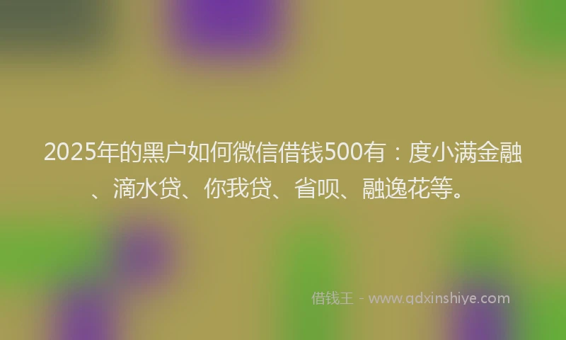 2025年的黑户如何微信借钱500有：度小满金融、滴水贷、你我贷、省呗、融逸花等。