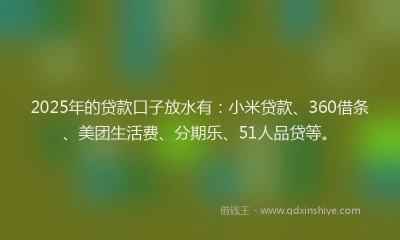 2025年的贷款口子放水有：小米贷款、360借条、美团生活费、分期乐、51人品贷等。