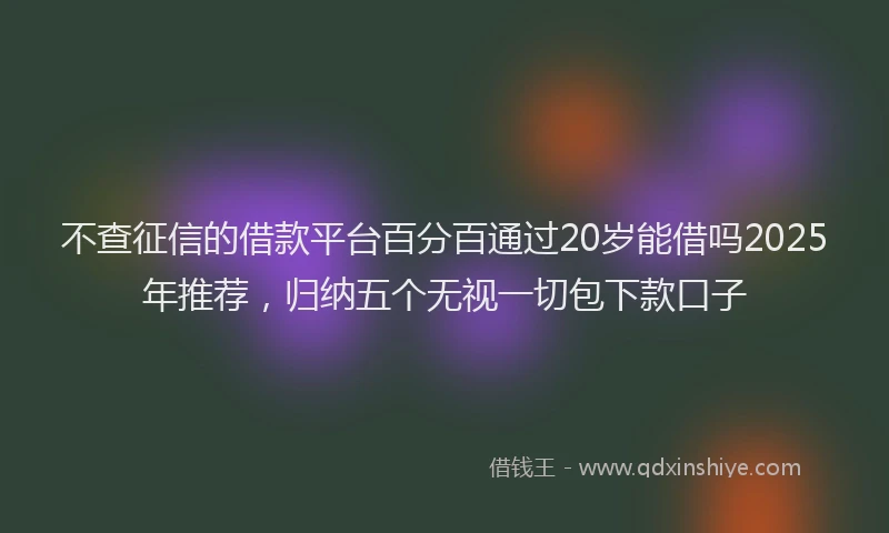 不查征信的借款平台百分百通过20岁能借吗2025年推荐，归纳五个无视一切包下款口子