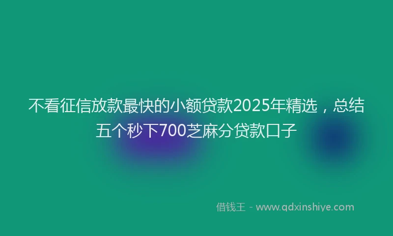不看征信放款最快的小额贷款2025年精选，总结五个秒下700芝麻分贷款口子