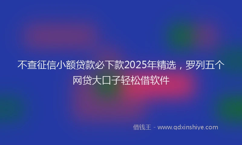 不查征信小额贷款必下款2025年精选，罗列五个网贷大口子轻松借软件