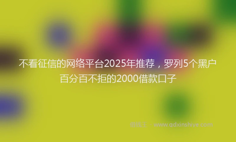 不看征信的网络平台2025年推荐，罗列5个黑户百分百不拒的2000借款口子