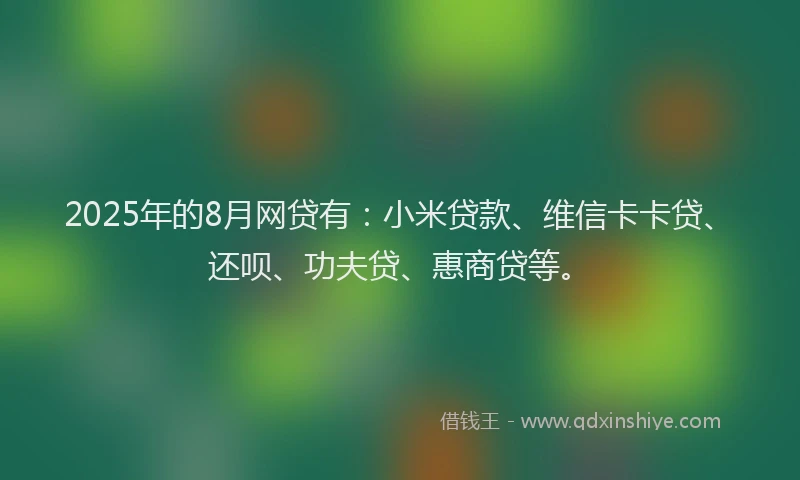 2025年的8月网贷有：小米贷款、维信卡卡贷、还呗、功夫贷、惠商贷等。