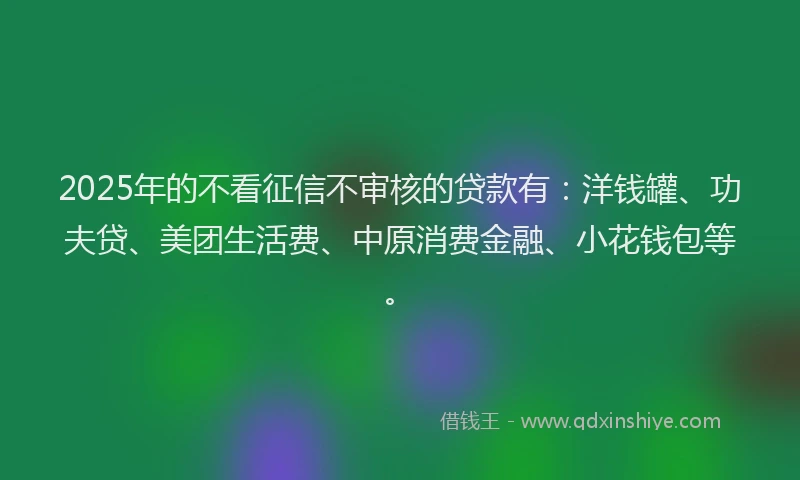 2025年的不看征信不审核的贷款有：洋钱罐、功夫贷、美团生活费、中原消费金融、小花钱包等。