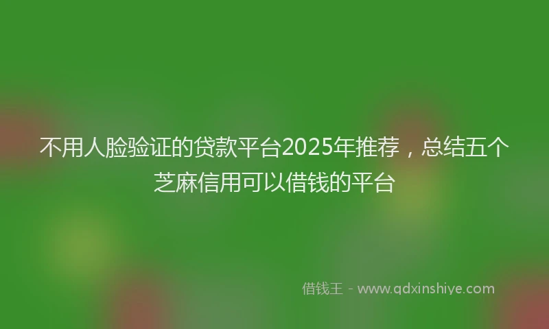 不用人脸验证的贷款平台2025年推荐，总结五个芝麻信用可以借钱的平台