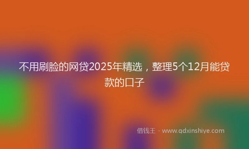 不用刷脸的网贷2025年精选，整理5个12月能贷款的口子