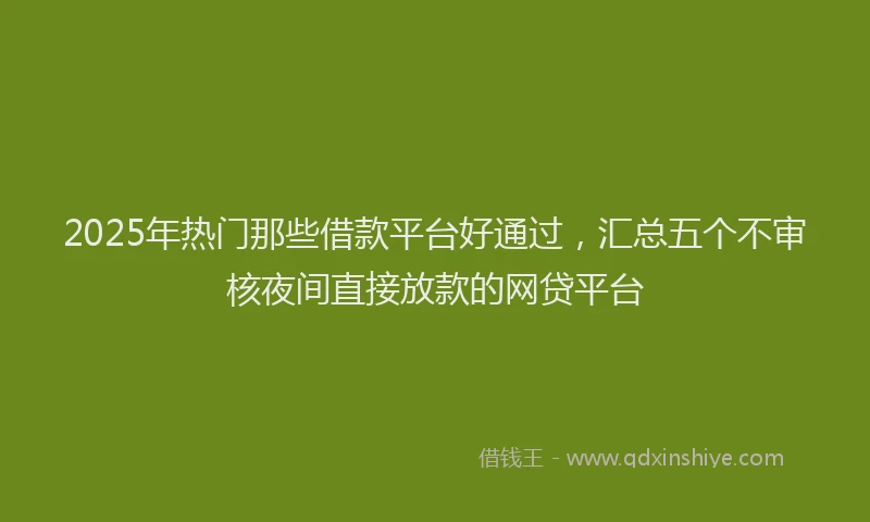2025年热门那些借款平台好通过，汇总五个不审核夜间直接放款的网贷平台