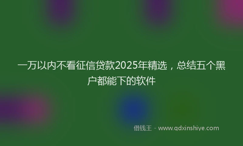 一万以内不看征信贷款2025年精选，总结五个黑户都能下的软件