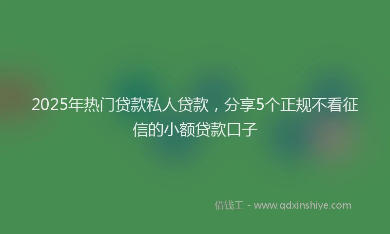 2025年热门贷款私人贷款，分享5个正规不看征信的小额贷款口子