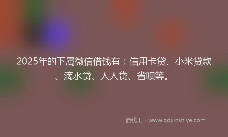 2025年的下属微信借钱有：信用卡贷、小米贷款、滴水贷、人人贷、省呗等。