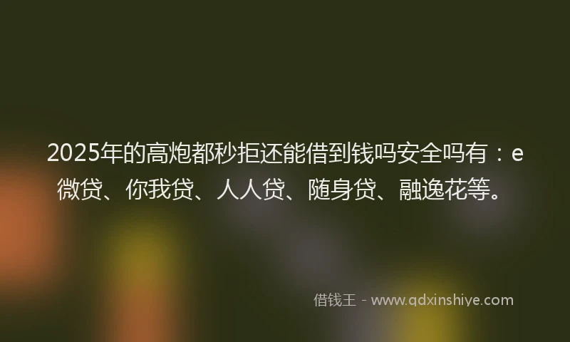 2025年的高炮都秒拒还能借到钱吗安全吗有：e微贷、你我贷、人人贷、随身贷、融逸花等。