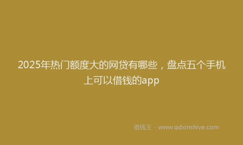 2025年热门额度大的网贷有哪些，盘点五个手机上可以借钱的app