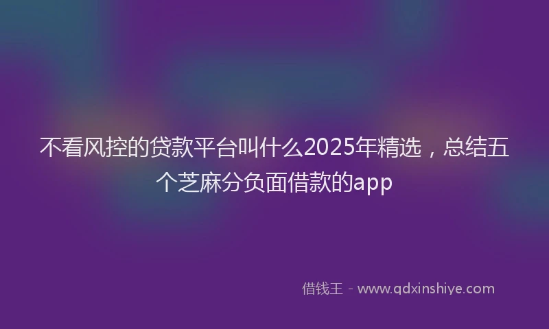 不看风控的贷款平台叫什么2025年精选，总结五个芝麻分负面借款的app