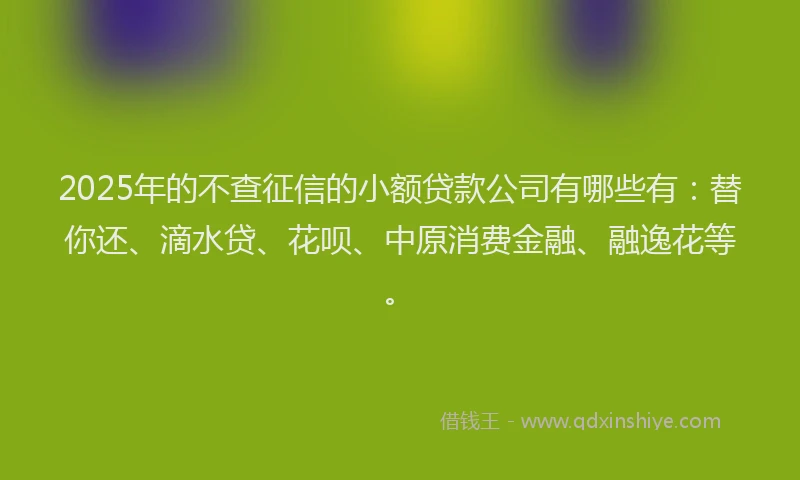 2025年的不查征信的小额贷款公司有哪些有：替你还、滴水贷、花呗、中原消费金融、融逸花等。