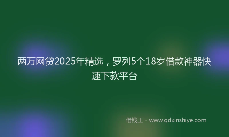 两万网贷2025年精选，罗列5个18岁借款神器快速下款平台