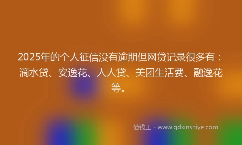 2025年的个人征信没有逾期但网贷记录很多有：滴水贷、安逸花、人人贷、美团生活费、融逸花等。