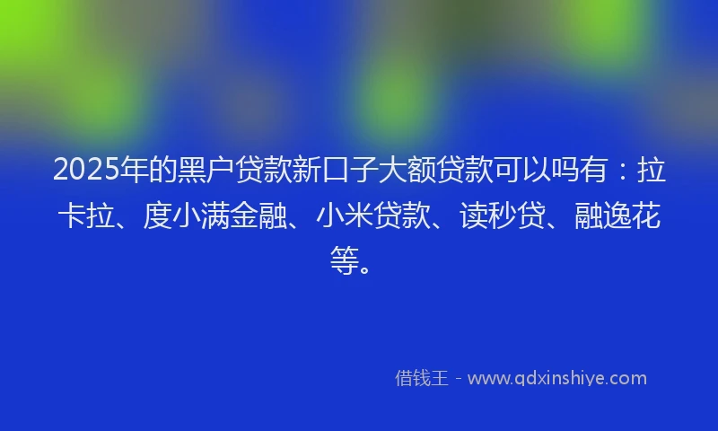 2025年的黑户贷款新口子大额贷款可以吗有：拉卡拉、度小满金融、小米贷款、读秒贷、融逸花等。