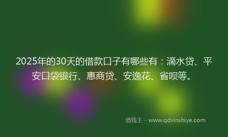 2025年的30天的借款口子有哪些有：滴水贷、平安口袋银行、惠商贷、安逸花、省呗等。