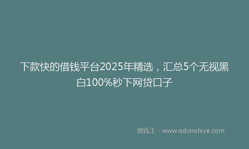 下款快的借钱平台2025年精选，汇总5个无视黑白100%秒下网贷口子