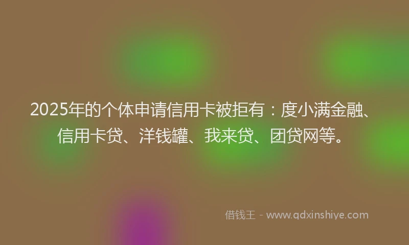 2025年的个体申请信用卡被拒有：度小满金融、信用卡贷、洋钱罐、我来贷、团贷网等。